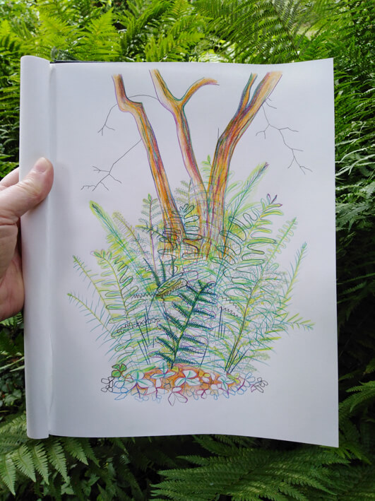 ferns botanical garden enpleinair draw Gea Zwart compact garden wood