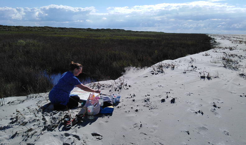 Enpleinair gea zwart beach painting