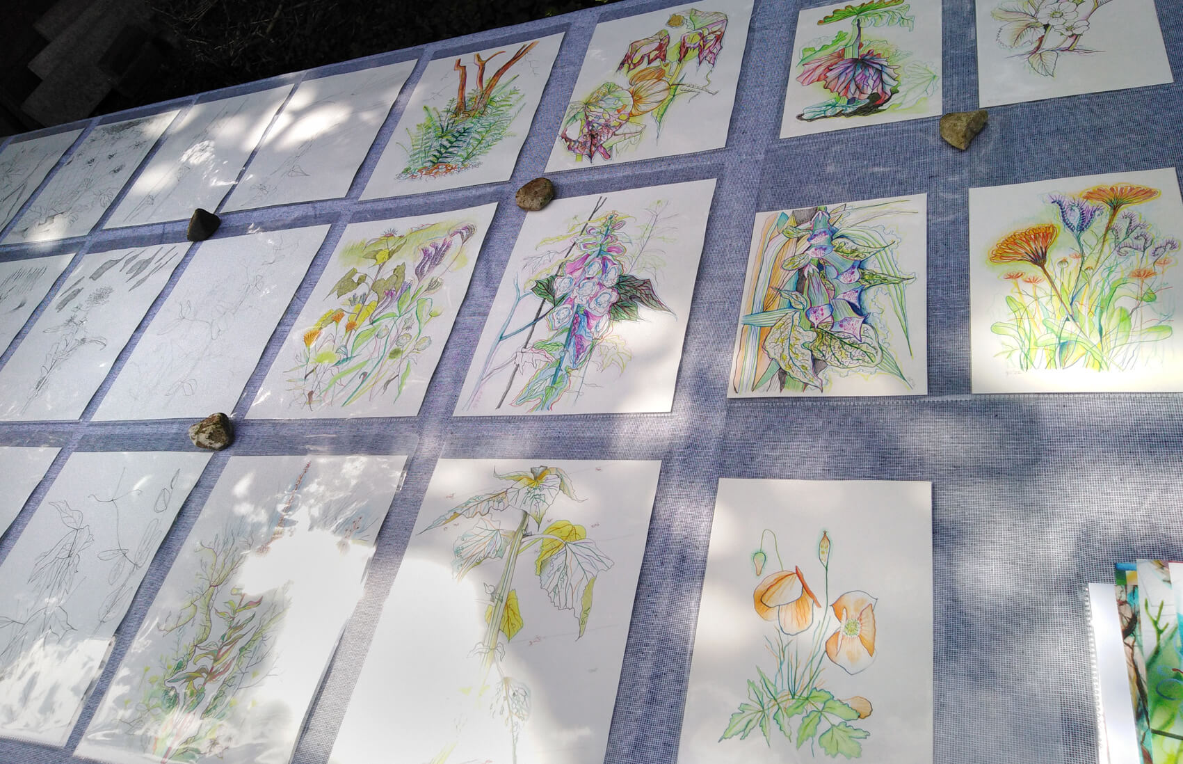 Outdoor-Ausstellung Volkstuin vereniging JanVroegop EnPleinAir drawings GeaZwart