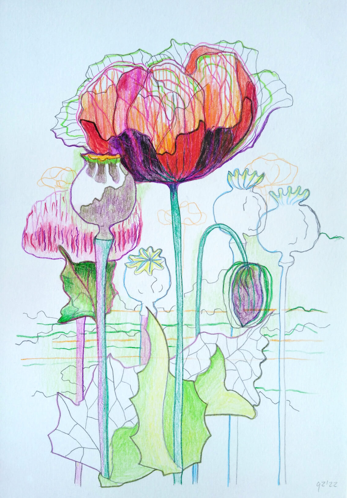 Poppy And Plein Air Drawing Vegetable Garden Gea Zwart 2022