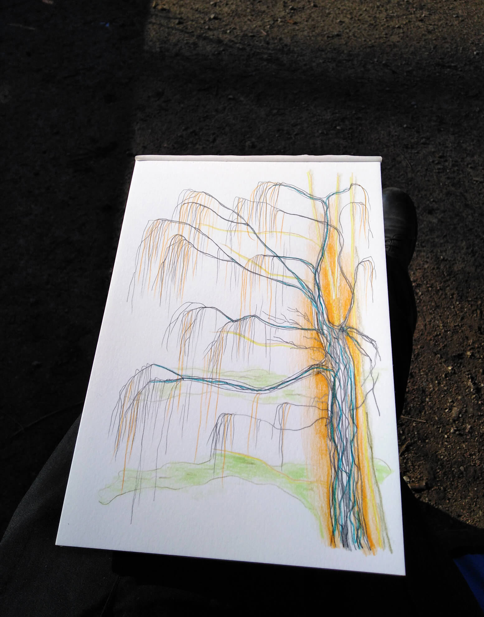 Winter En Plein Air, winter light, tree, Willow, Vondelpark, Gea Zwart 7 February 2023 making of