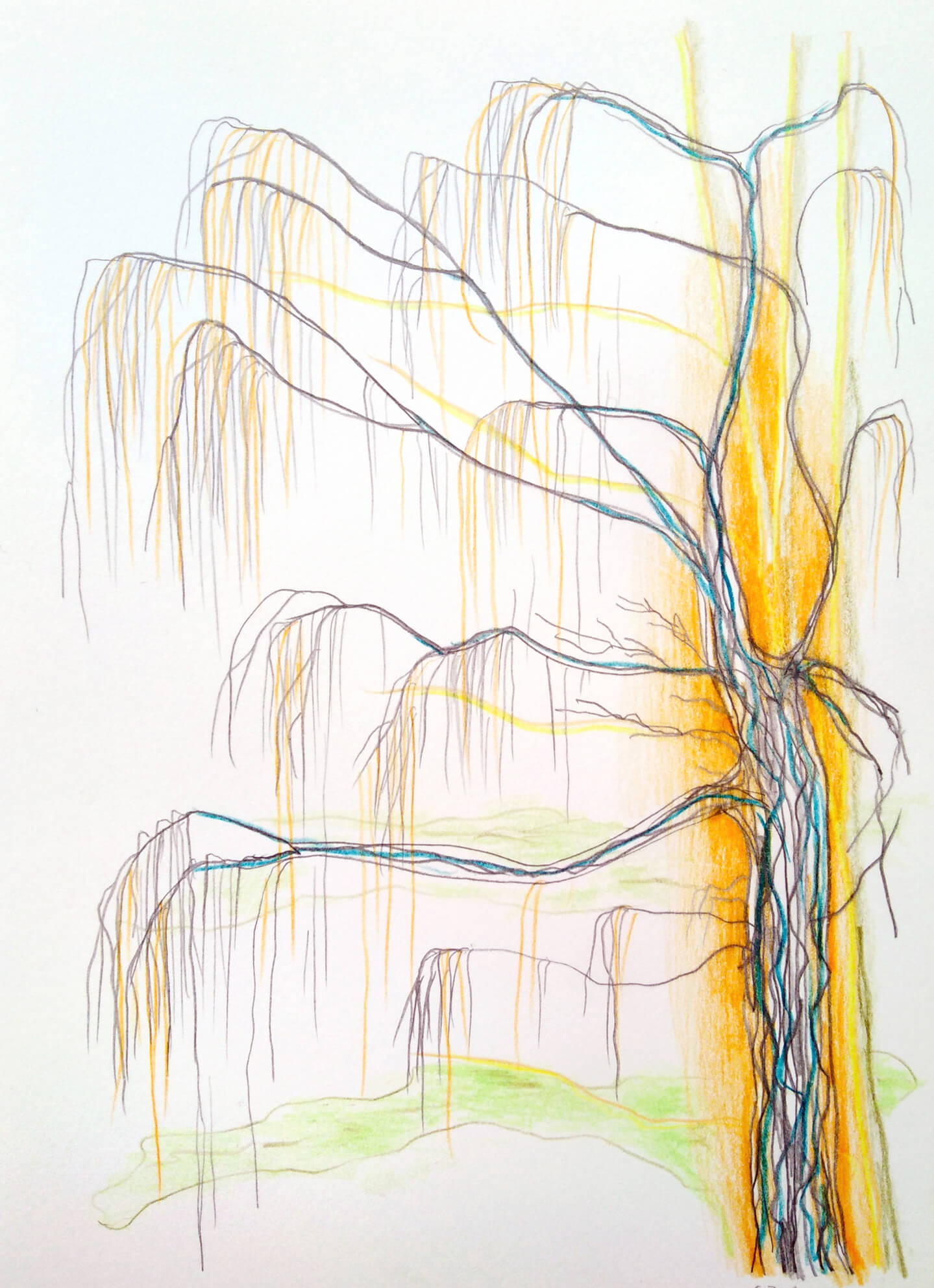 February Light, Tree, Winter En Plein Air, Gea Zwart 2023