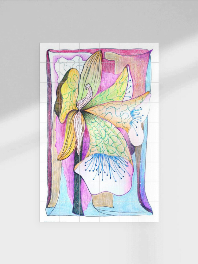 Amaryllis, Gea Zwart 2023, Poster Ixxi, 120 x180 cm. En Plein Air Zeichnung als großes Poster