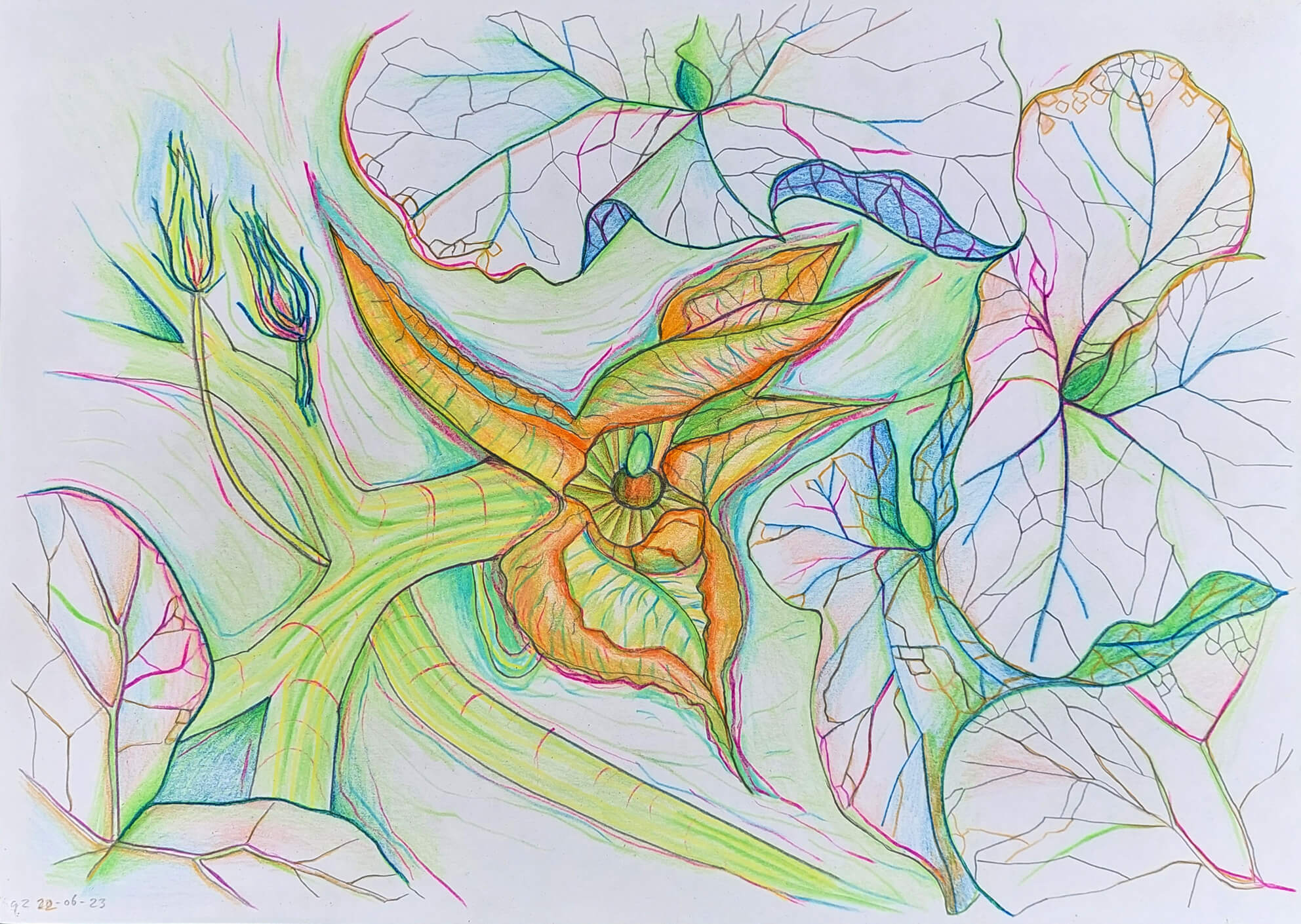 Pumpkin En Plein Air colored pencil drawing on A4 paper Gea Zwart June 2023