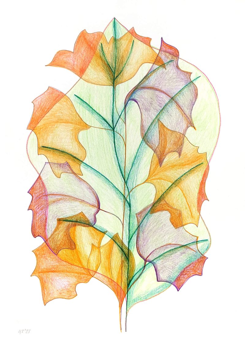 Herfst Autumn Gea Zwart dawing color pencil, 2023 ixxi xl poster